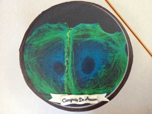 Cake displaying Aaron's microscopy!